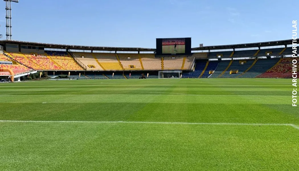 Estado del terreno del estadio El Campín
