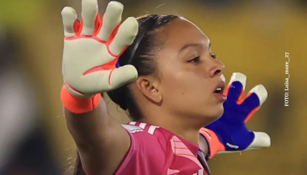 Hincha se metió a la cancha por Luisa Agudelo: ¿qué dijo y qué le entregó?