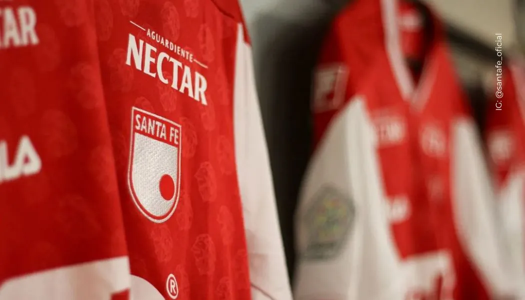 Tres piezas podrían abandonar Santa Fe después la final