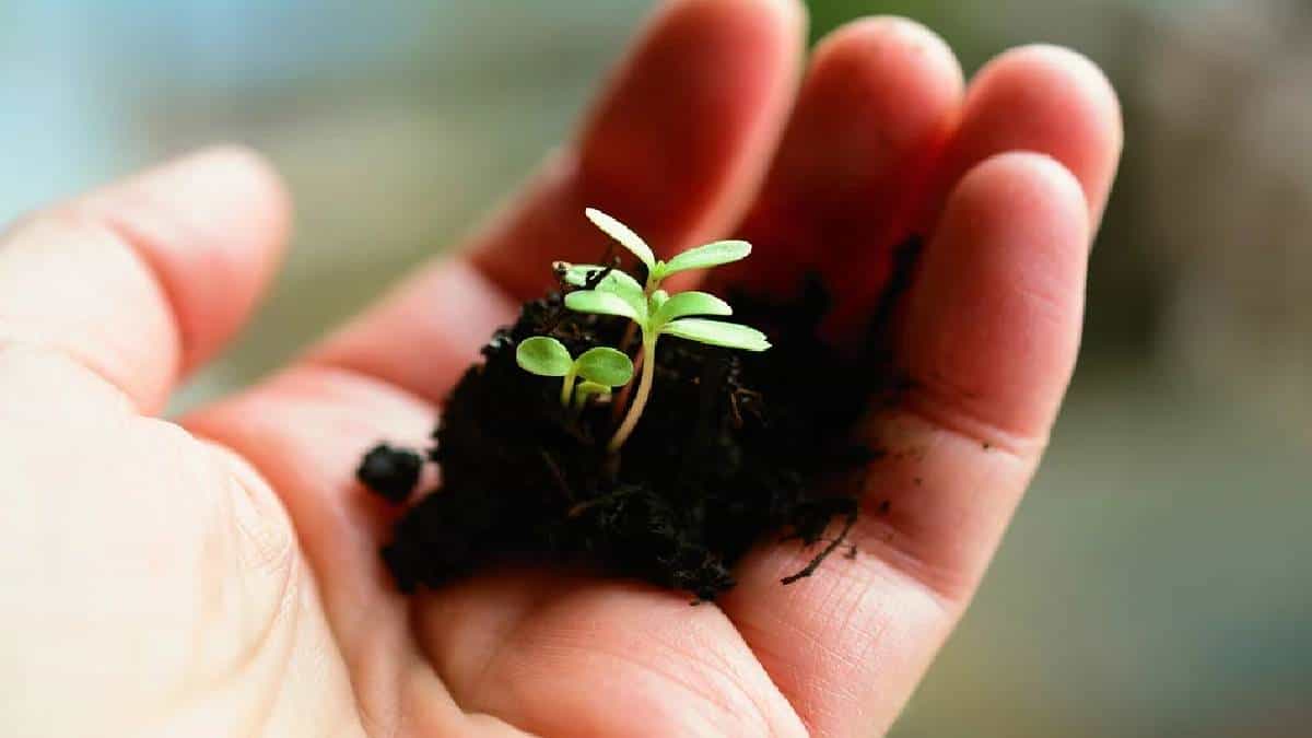 Medellín apuesta a convertirse en ecociudad