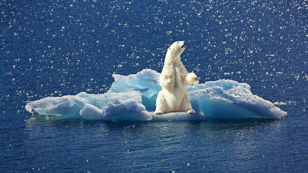 Foto: Pixabay Cambio climático