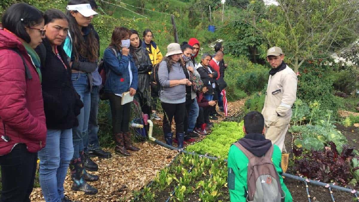 Jardín Botánico de Bogotá gradúa agricultores urbanos