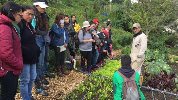 Jardín Botánico gradúa primera promoción de agricultores y agricultoras urbanas Jardín Botánico gradúa primera promoción de agricultores y agricultoras urbanas