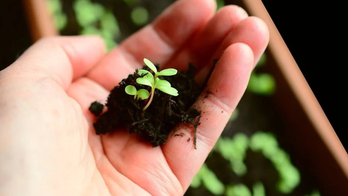 Sector agro empieza a florecer en Antioquia