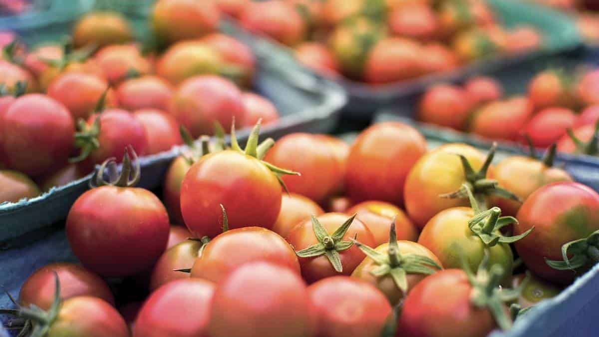 Hogares racionalizan comida por altos costos de los alimentos