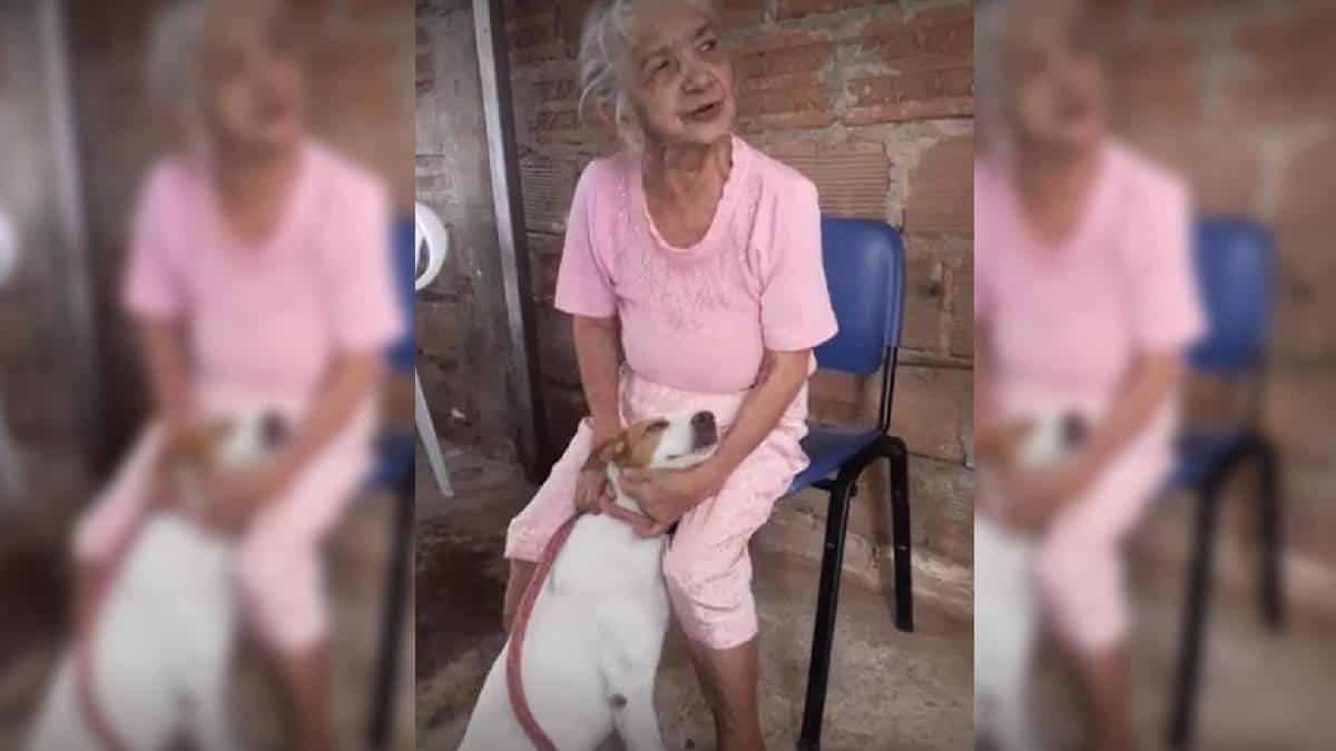 Apareció mascota de mujer en Cali