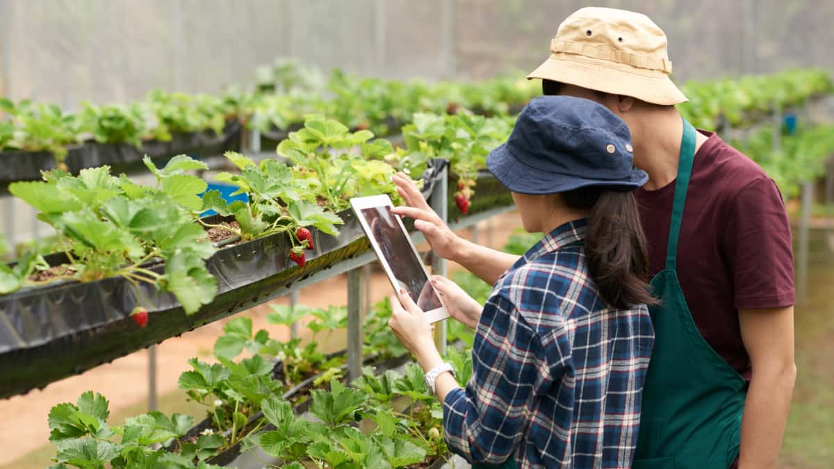 App para monitorear indicadores del agro en Colombia