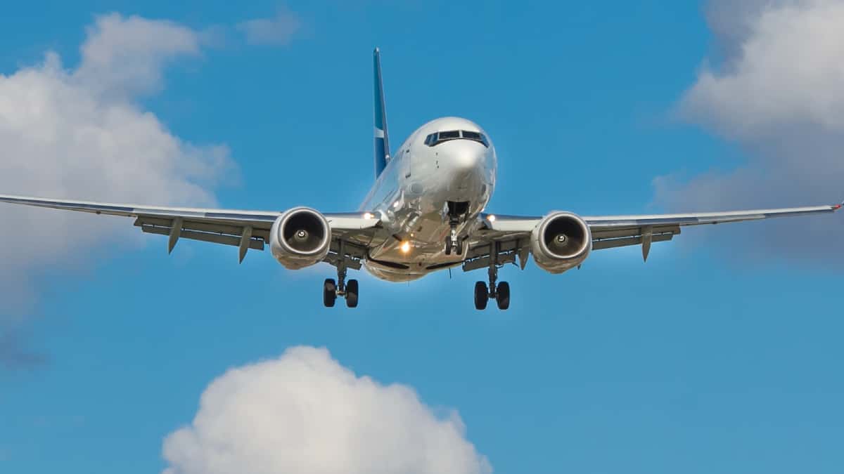 Avión se estrelló con árbol y ocupantes sobrevivieron