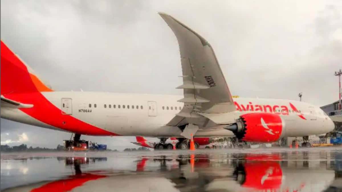 Avión de Avianca - Foto: Instagram @avianca Avianca lanza importante anuncio a sus pilotos