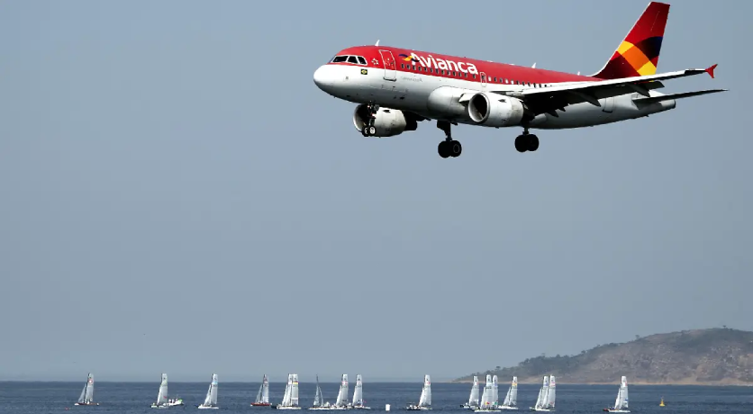 Avianca prohibirá transporte de animales de más de 10kg