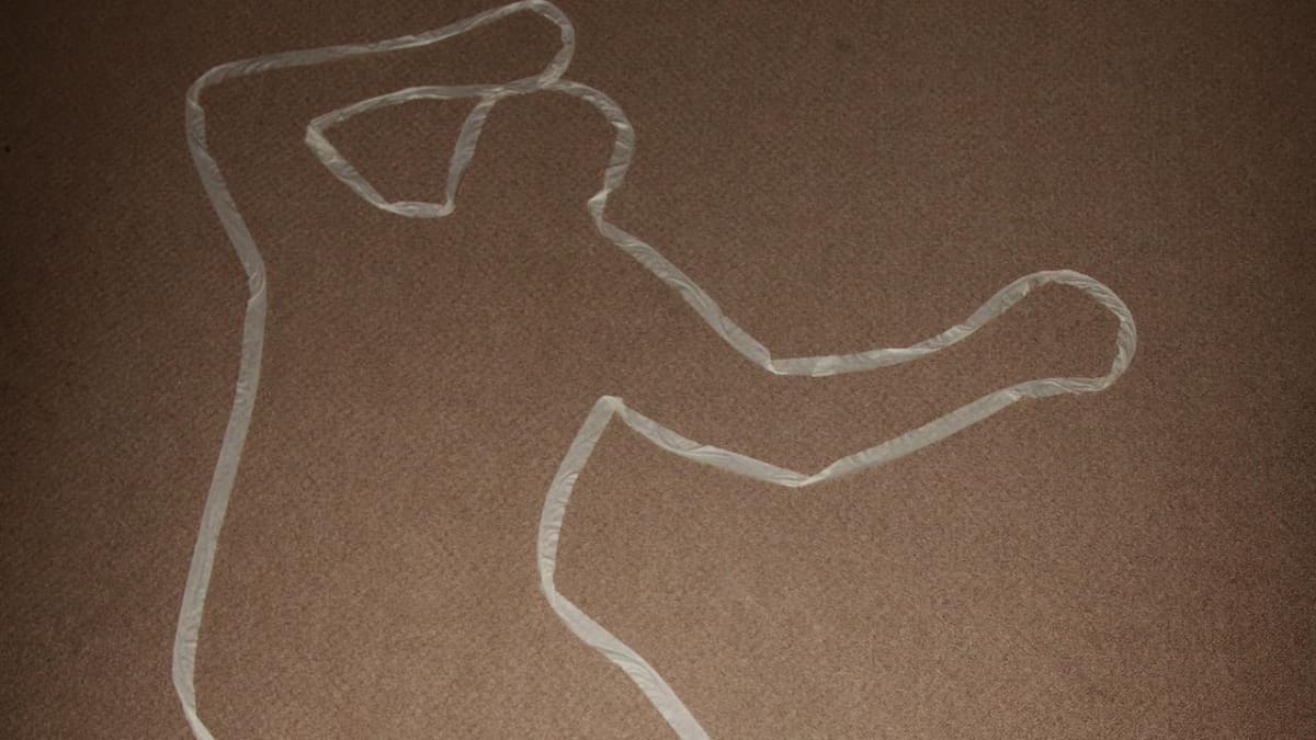 Imagen de referencia