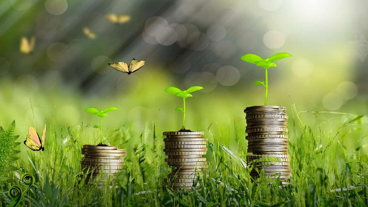 La UE recoge 12.000 millones de euros para invertir en bonos verdes