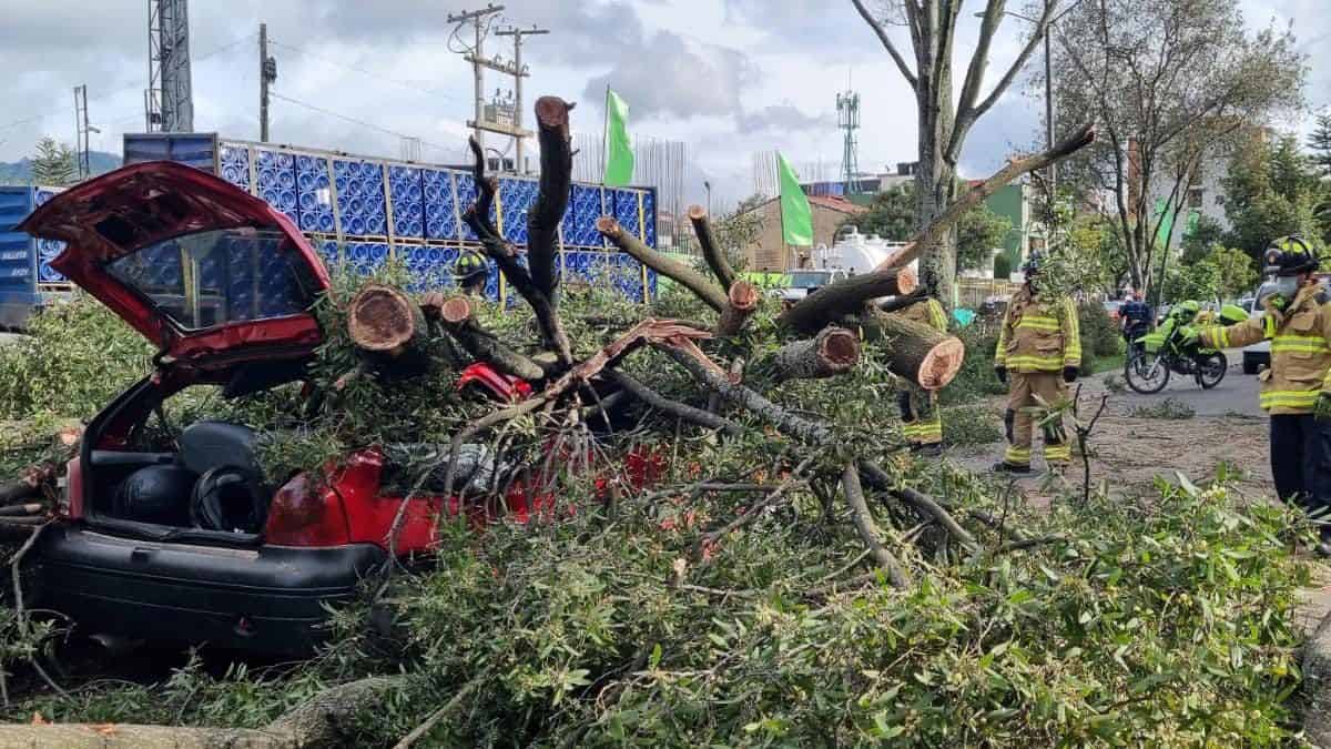 En Teusaquillo dos personas fueron rescatadas tras caída de árbol en su vehículo