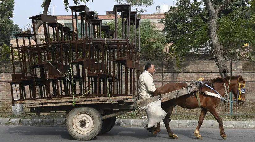 Zipaquirá reemplazará caballos por vehículos de motor