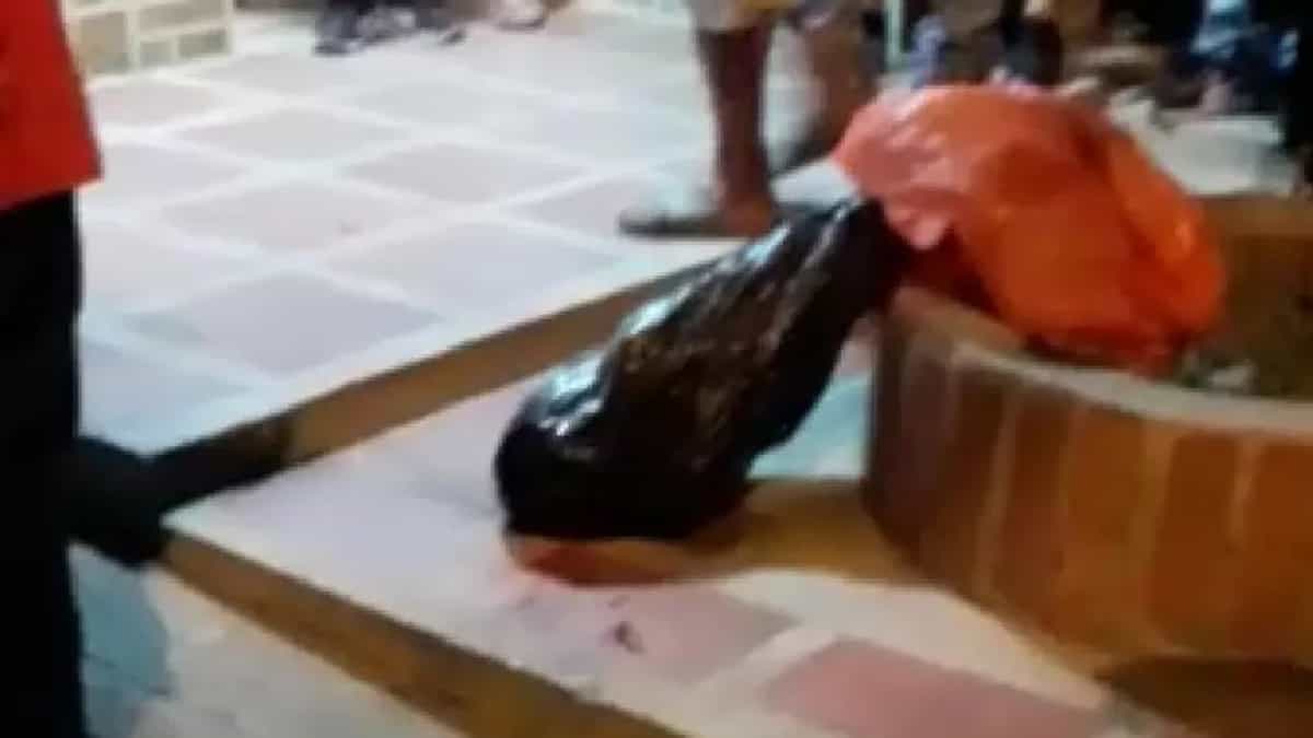 Terror en Tuluá: desconocidos abandonaron cabeza humana en un antejardin