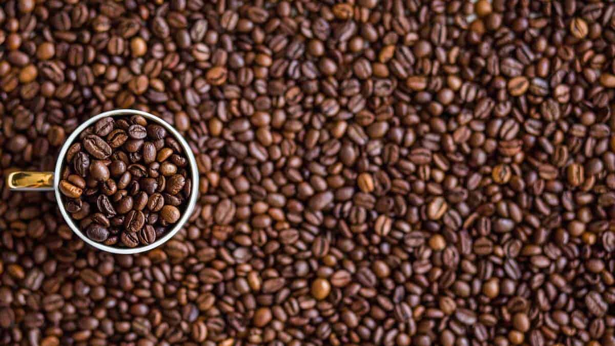 Productos colombianos podrán ser adquiridos en tiendas de Polonia