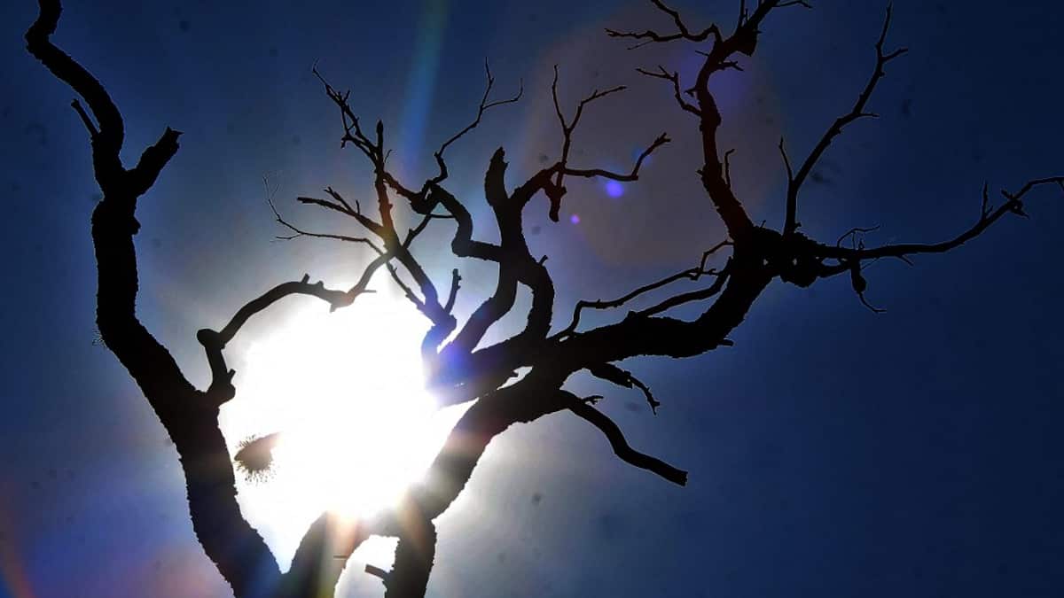 Calentamiento global