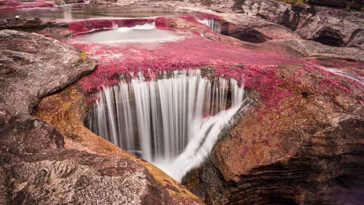 ¡Vuelve la magia de Caño Cristales! El río de los siete colores reabre sus puertas