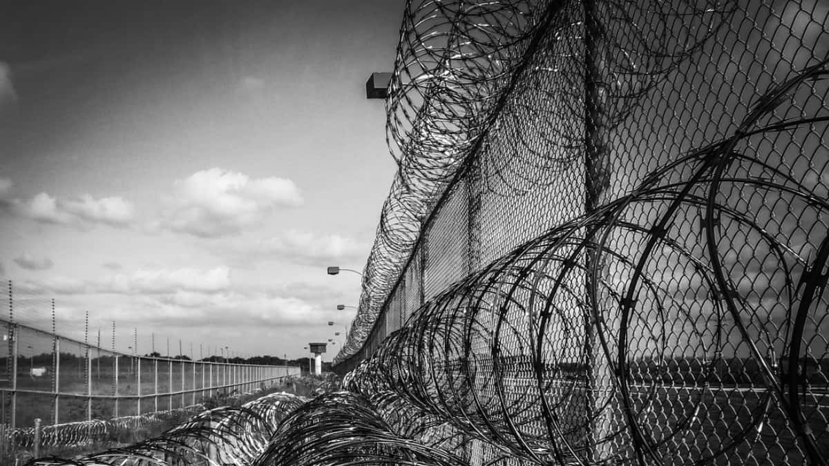 Imagen de referencia