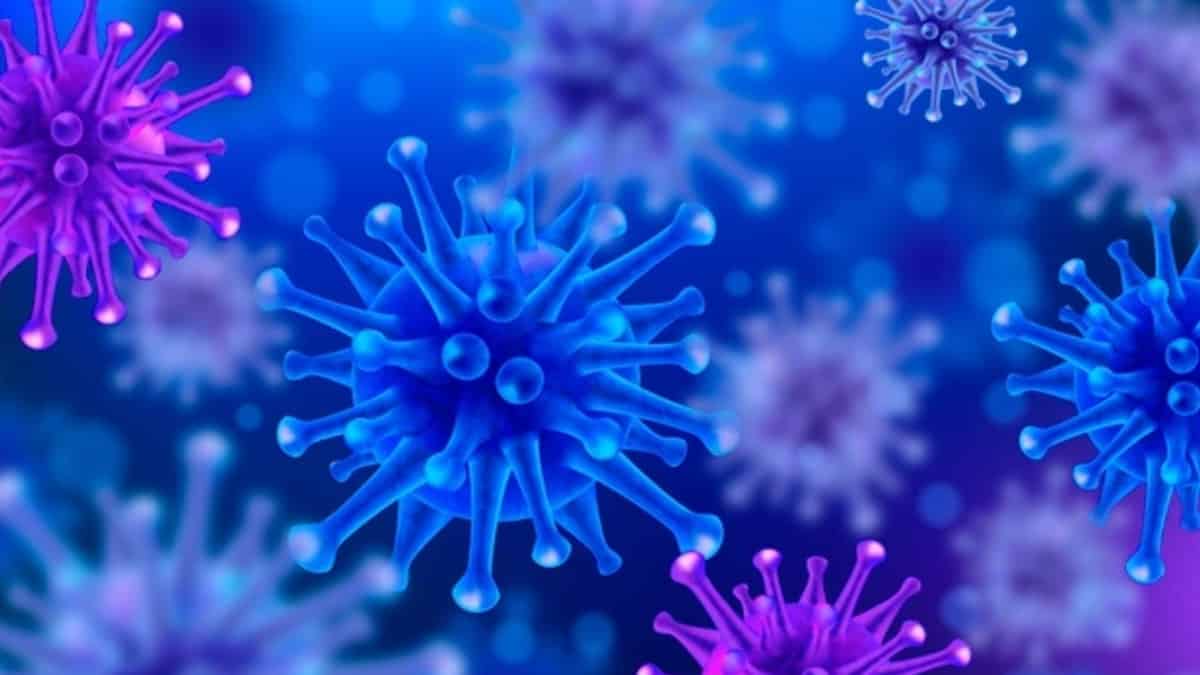 Coronavirus en Colombia: casos, muertes y recuperados 11 de diciembre