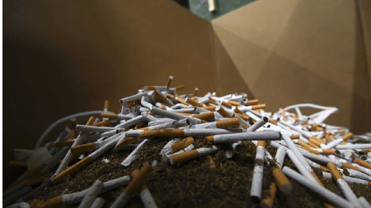 Actualmente, el país prohíbe la venta de tabaco a menores de 18 años y busca aumentar esta edad a partir del 2027.