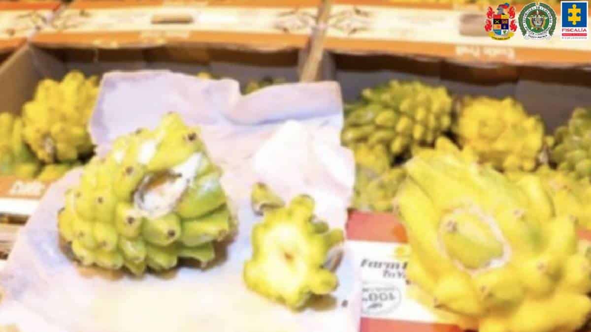 Cargamento de cocaína en pitayas expone a narcotraficante