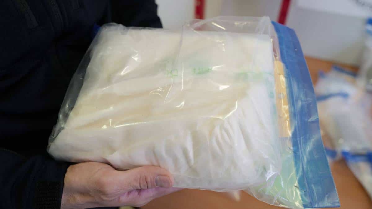 Capturan banda que usaba servicio de encomiendas para narcotráfico