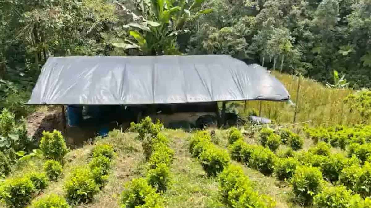 Decomisan más de seis toneladas de cocaína que pertenecerían al ELN en Nariño