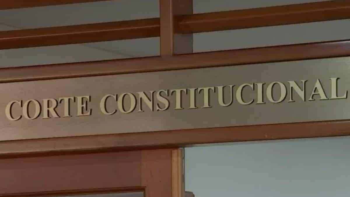 Constitutional Court Partially and Provisionally Suspends Two Articles of the 'Express Expropriation' Decree