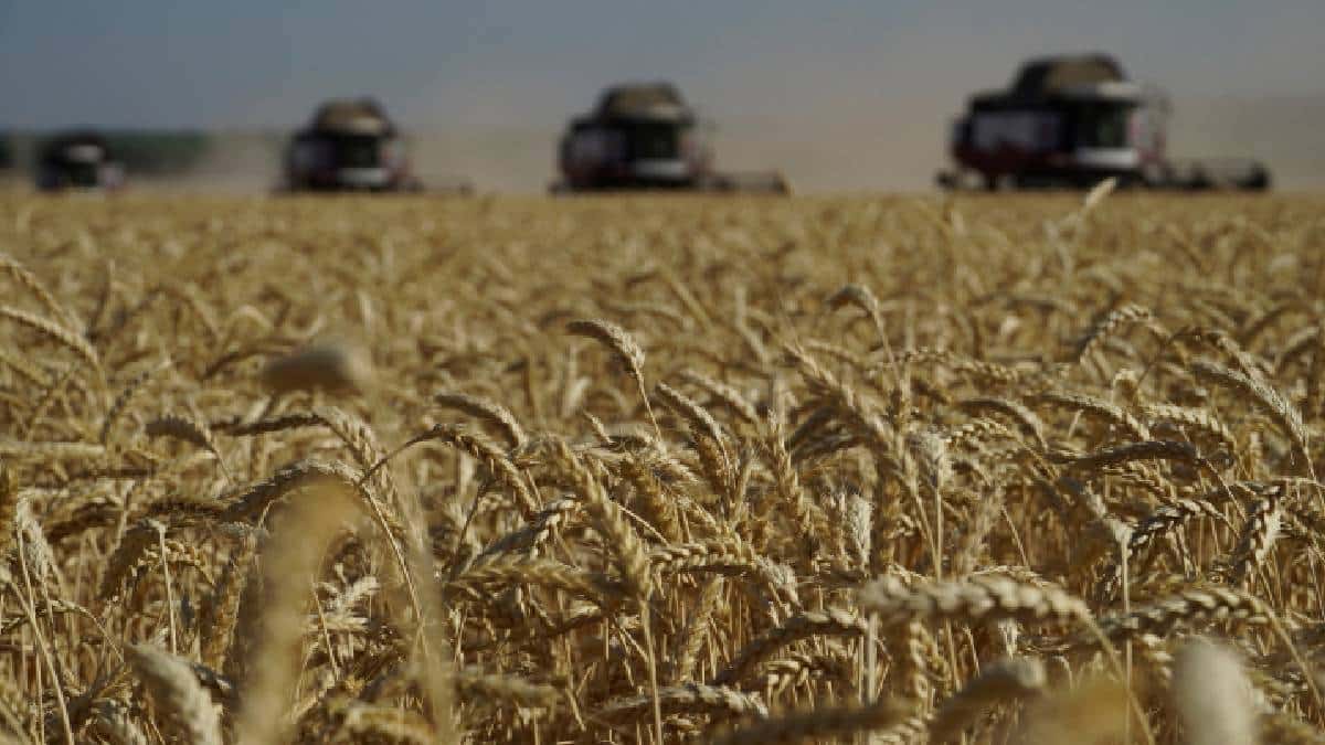 La crisis alimentaria por la guerra en Ucrania