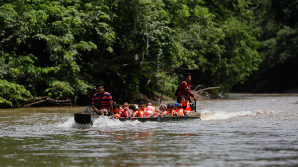 Cerca de 100.000 niños migrantes han pasado por el Tapón del Darién, según Migración Cerca de 100.000 niños migrantes han pasado por el Tapón del Darién, según Migración