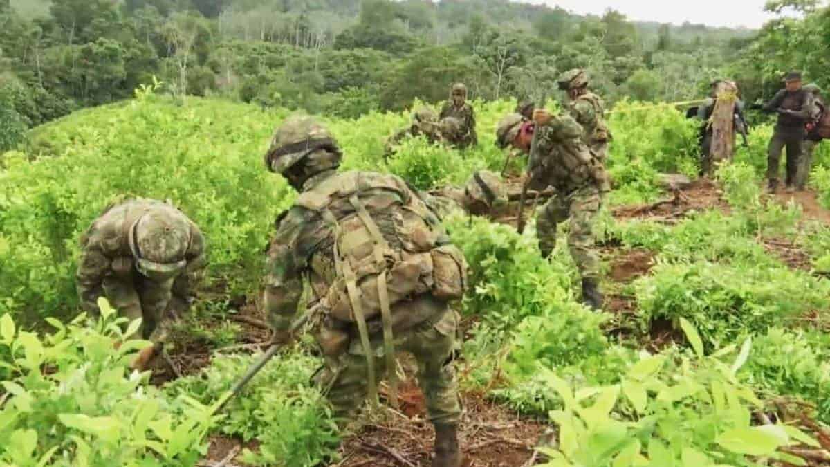 Respuesta del Gobierno colombiano por informe sobre cultivos ilícitos