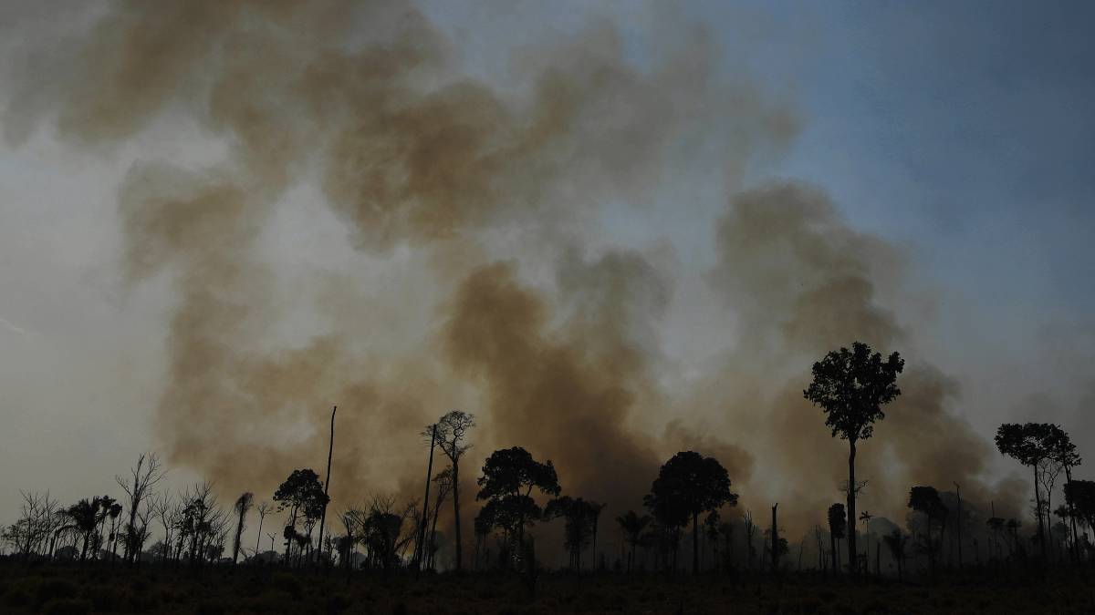 Deforestación de la Amazonia brasileña registró en junio su peor cifra desde el 2015