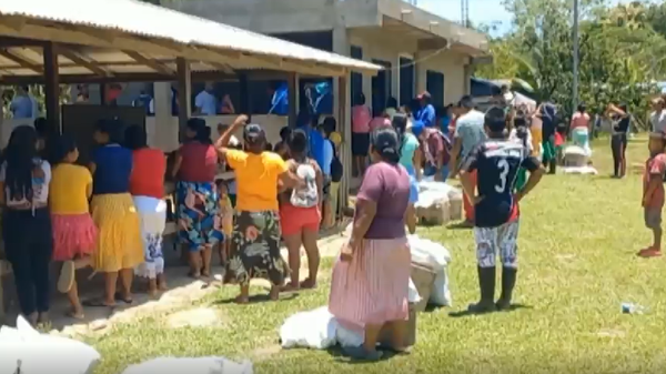 Desplazados por violencia en Antioquia están sufriendo por escasez de alimentos y pérdida de cosechas