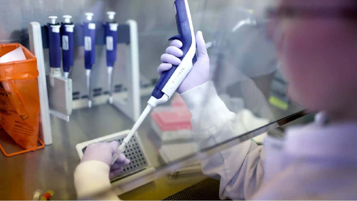 China detecta primer caso de gripa aviar