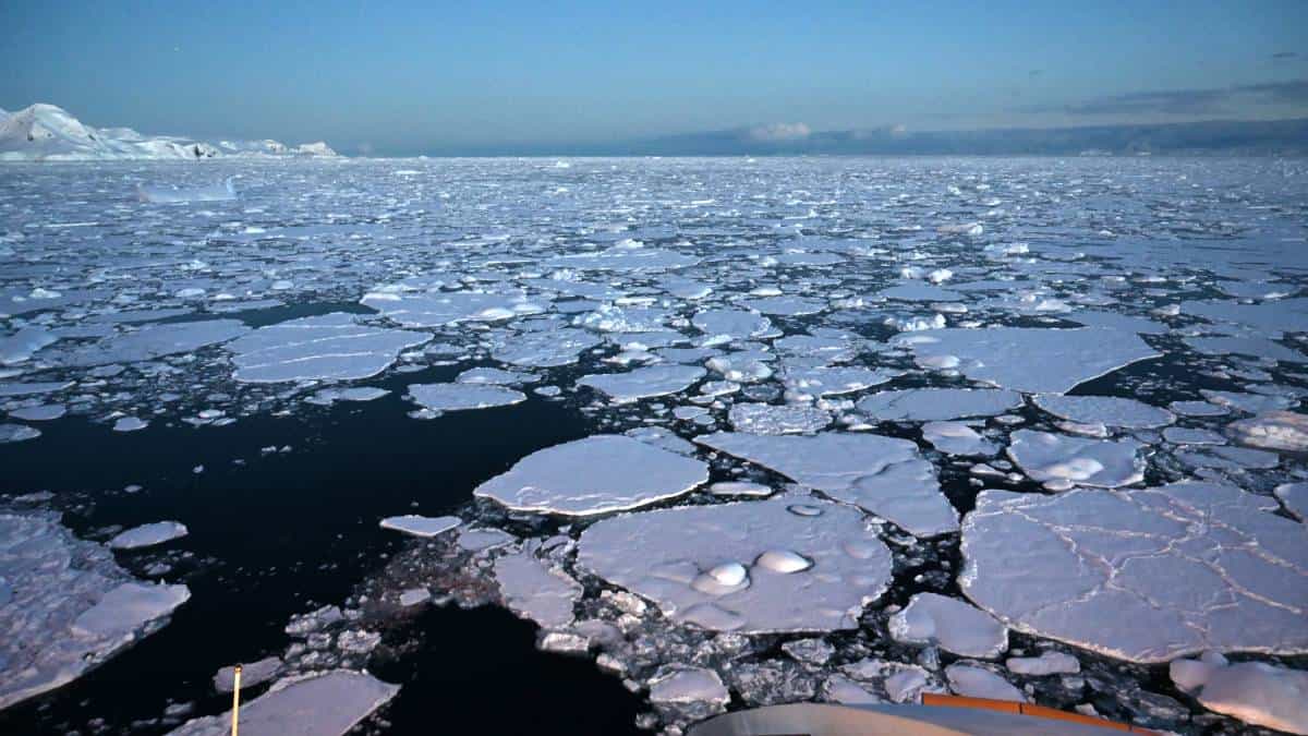 La OMM afirmó que 5.000 millones de personas no podrán acceder al agua.