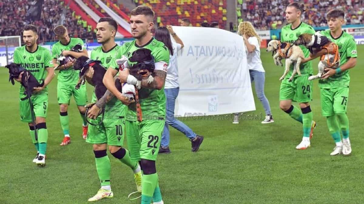 Jugadores del Dínamo Bucarest