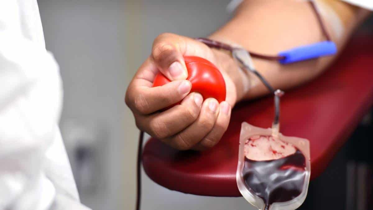 ¿Quiere donar sangre? Le contamos todo lo que necesita saber para poder hacerlo