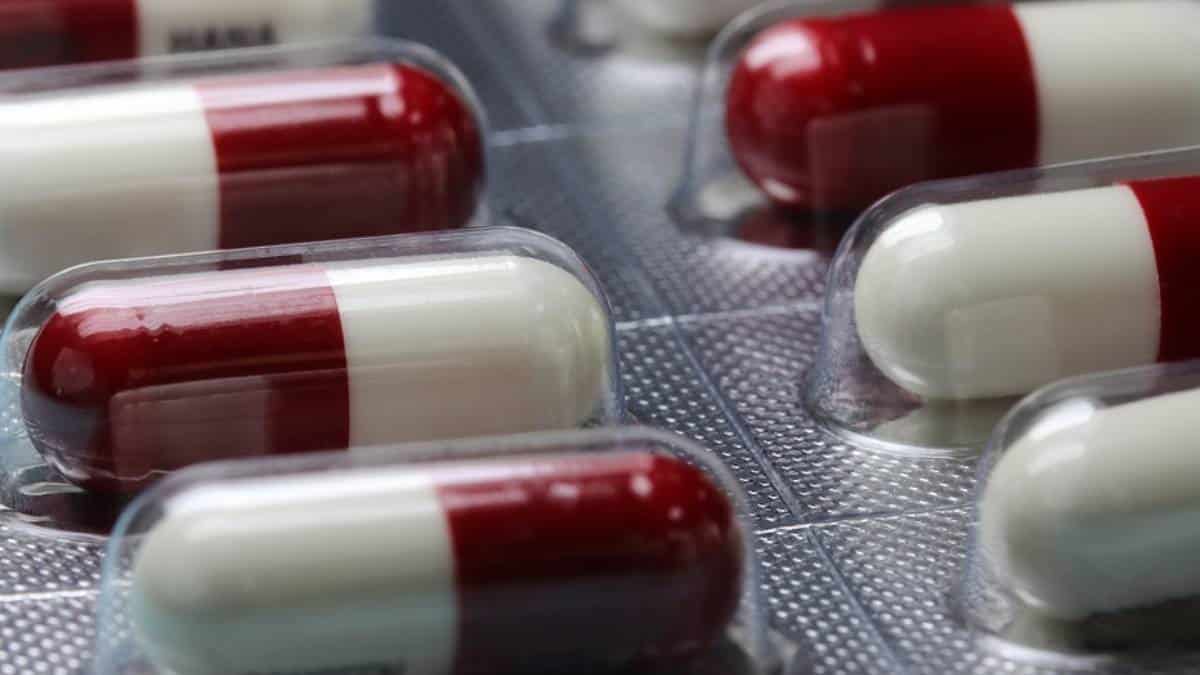 Dónde venden la píldora anticovid de Merck tras llegar a Colombia