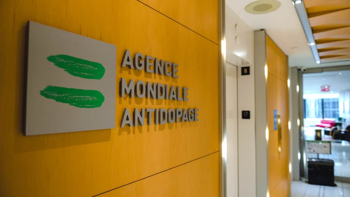 Opioides de síntesis, ARN mensajero