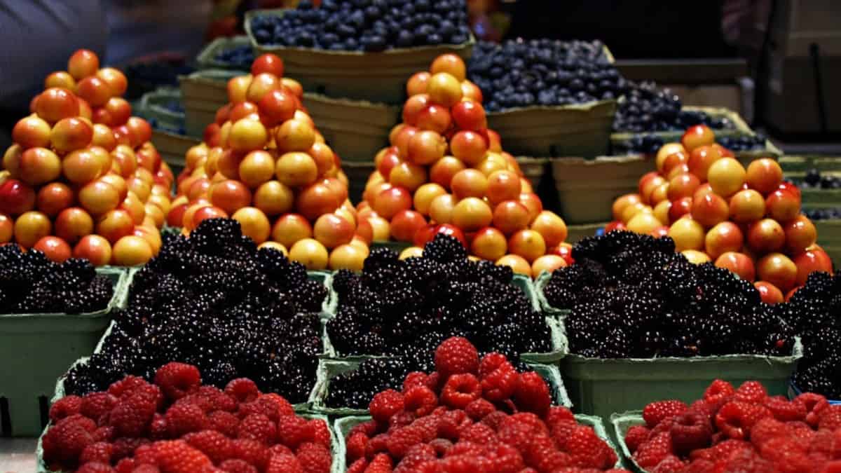 Precios de alimentos seguirán elevados durante primer trimestre