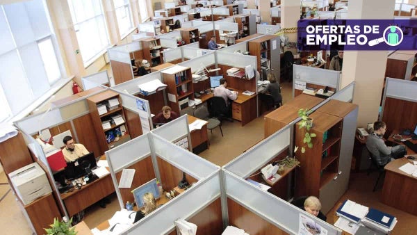 ¿Sin trabajo? Más de 11.600 vacantes en empresas BPO y ONG Aldeas Infantiles