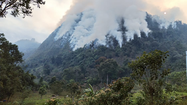 Entidades del Gobierno para la atención de emergencias que tuvieron recortes en sus presupuestos Entidades del Gobierno para la atención de emergencias que tuvieron recortes en sus presupuestos