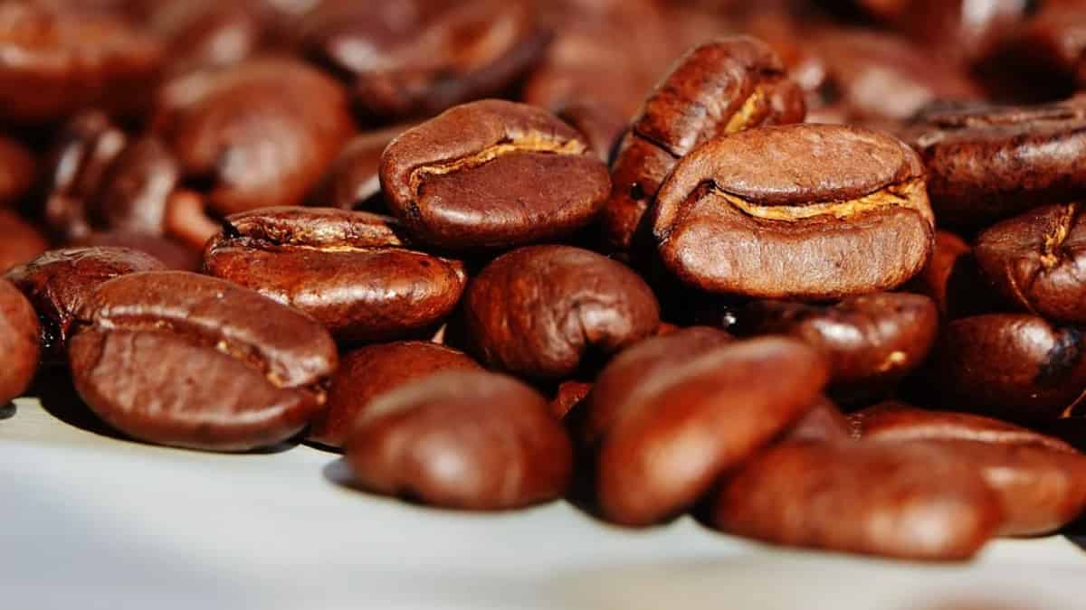 Exportación de café impactada por bloqueos de vías