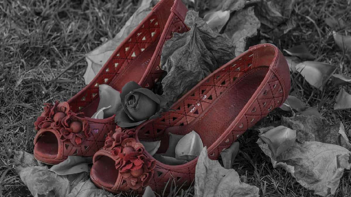 Imagen de referencia