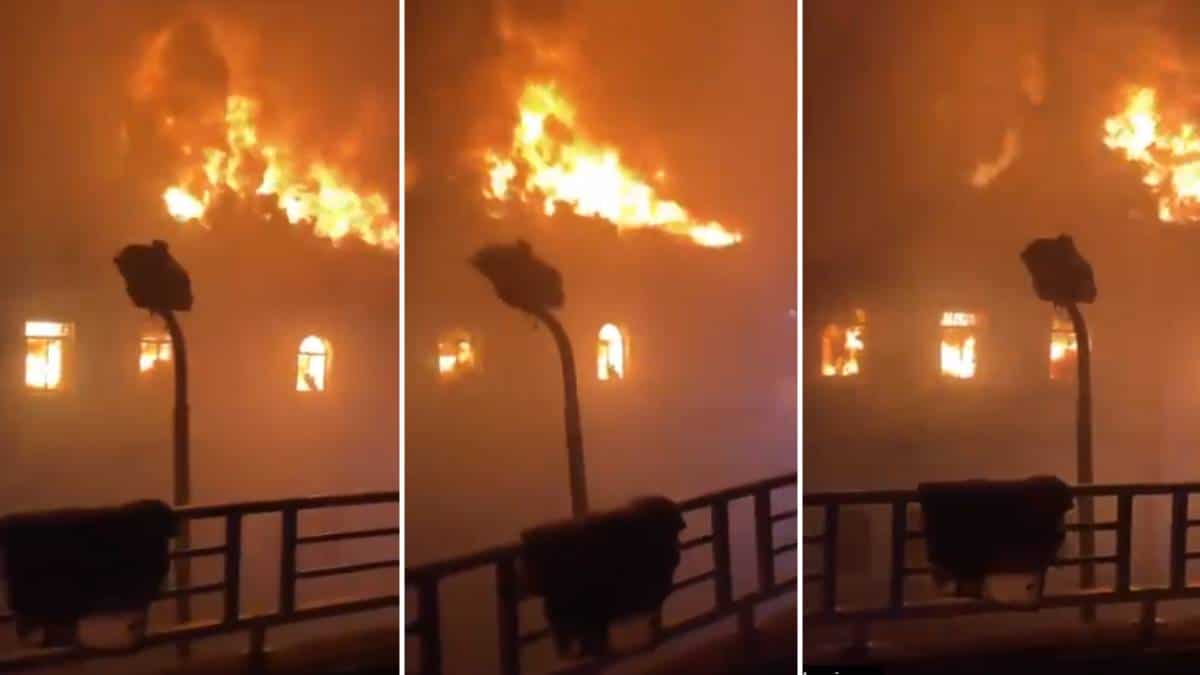Foto: captura de video La historia detrás del Palacio de Justicia de Tuluá quemado por los vándalos