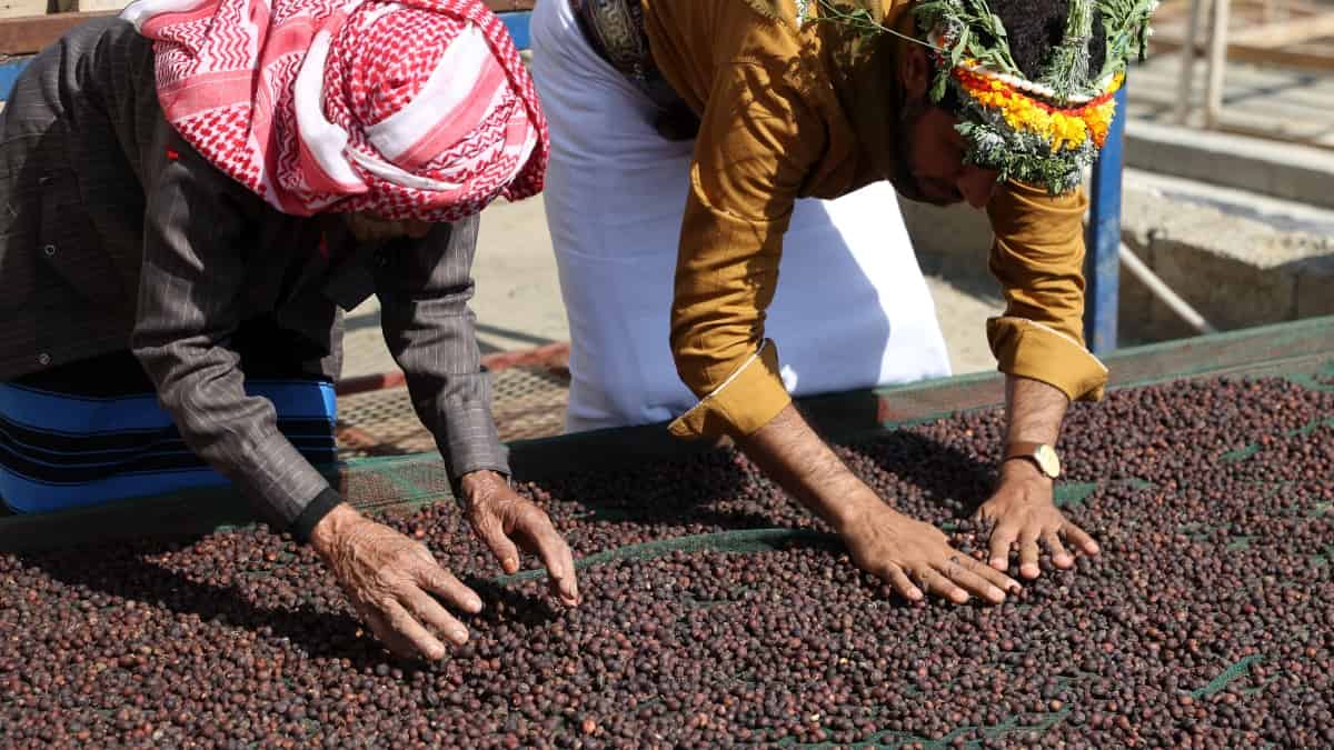 "Gahwa", el café saudita