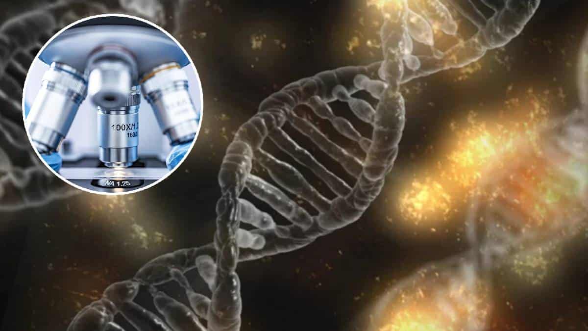 Hallan un gen que duplica el riesgo de morir por covid-19