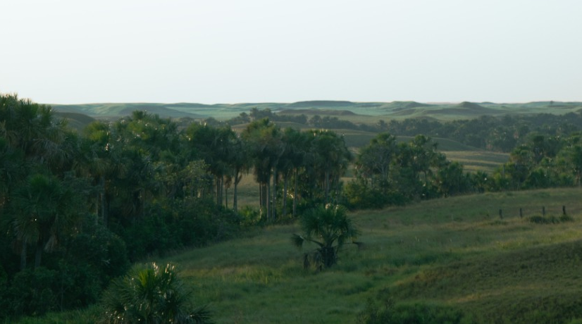 Gobierno entregó más de 13.500 hectáreas de tierra a 120 familias campesinas en el Meta