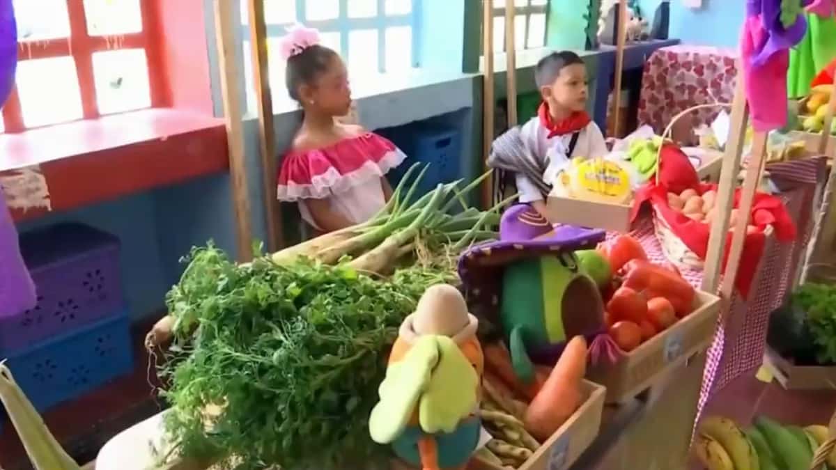 Trujillo: así funciona granja experimental en colegio